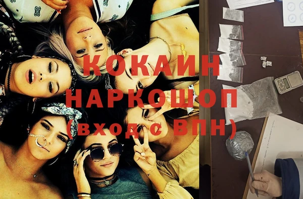винт Алексин
