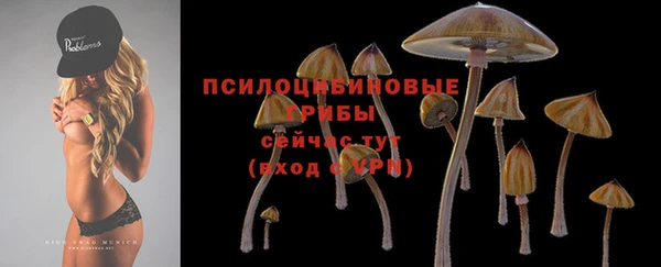 прущая мука Алзамай
